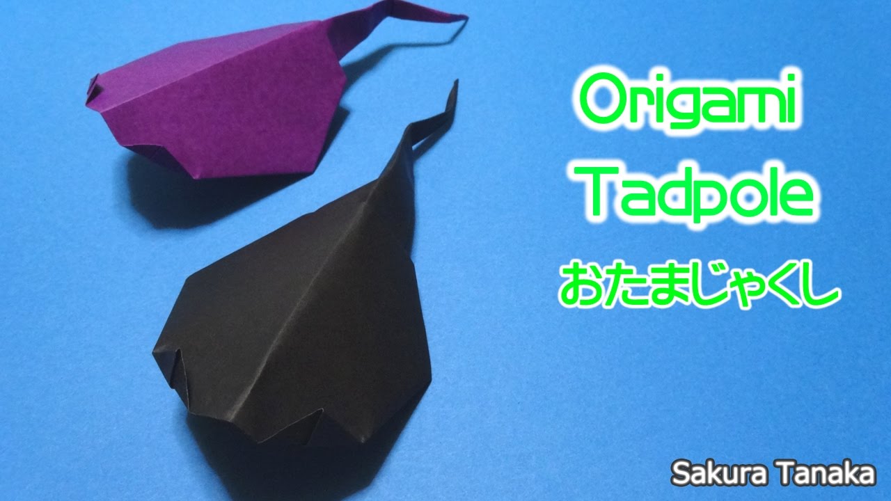 Origami Tadpole 折り紙 おたまじゃくし 折り方 Youtube Origami Tadpole 折り紙 おたまじゃくし 折り方 Youtube