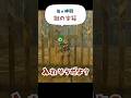 【脳筋ティアキン 】風の神殿の宝箱、みんなはどうやって取った?【ゼルダの伝説】 #ゼルダの伝説 #totk #ティアキン #shorts