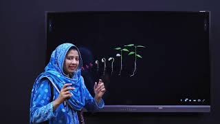 EdTech Science 3 Unit 3 B LIFFT 12