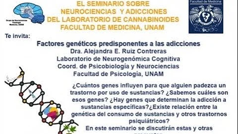 ¿Cuáles son los 3 factores genéticos de riesgo de adicción?