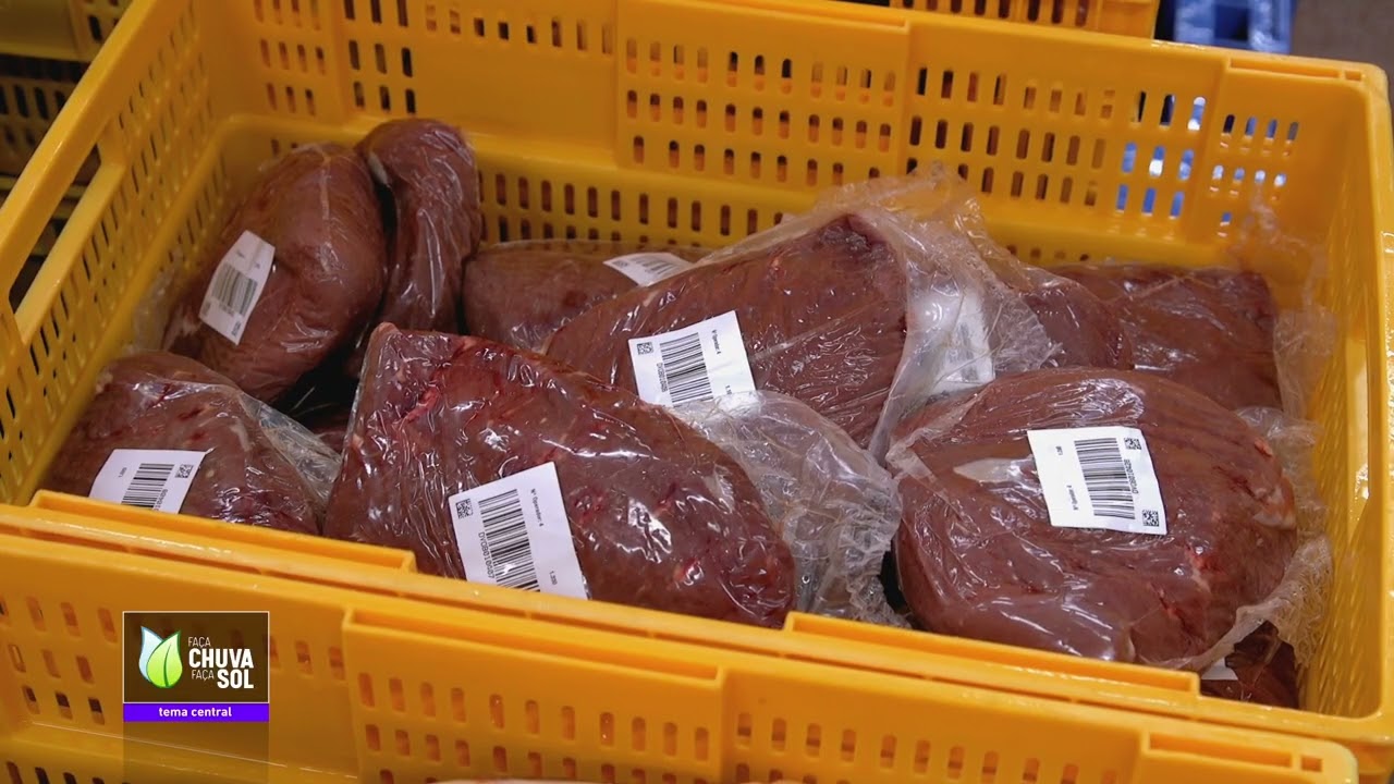 Reportagem Faça Chuva Faça Sol visita à Campicarn