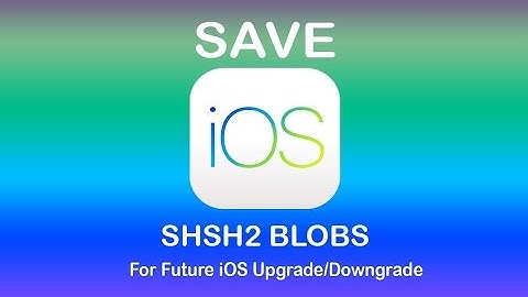 How to Save SHSH2 Blobs On A12/A13 Devices Using Windows! (XS, XS Max, And XR)