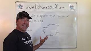 Why do speckled trout have worms?