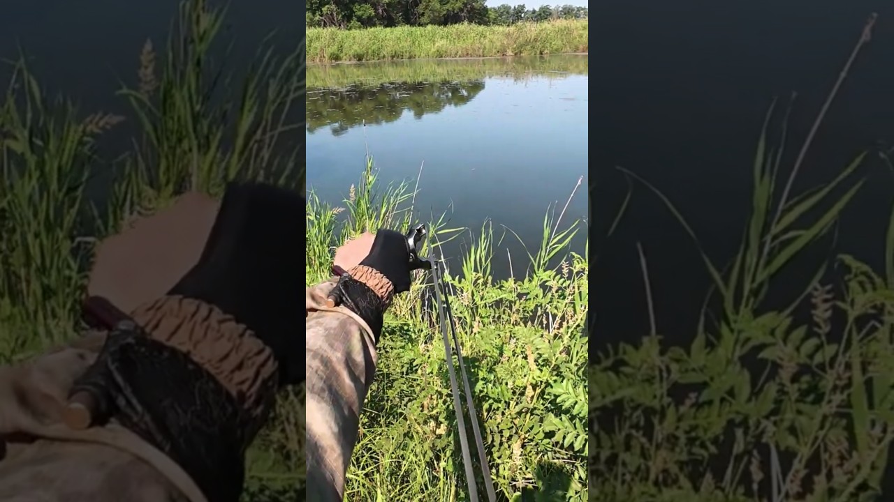 ⬆️Полная версия⬆️Рыбалка на Рогатку - Slingshot Fishing 