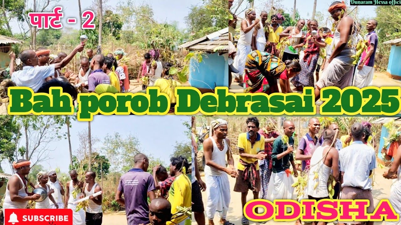 Bah porob Debrasai Odisha। 🙏🌹।डेबरासाई ओडिशा बाह पर्व। ।Debrasai odisha bah porob।