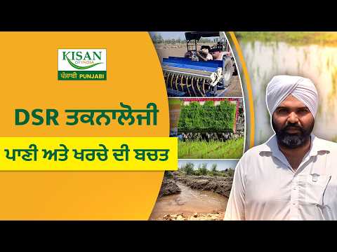 ਕੀ ਸਿੱਧੀ ਬਿਜਾਈ ਬਣੇਗੀ Punjab ਦੇ water crisis ਦਾ ਹੱਲ?