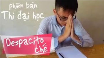 Despacito chể (phiên bản thi đại học)