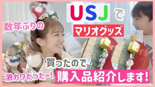 【USJ購入品】数年ぶりにUSJに行ったらスーパー・ニンテンドー・ワールドがすごすぎた！！！！！