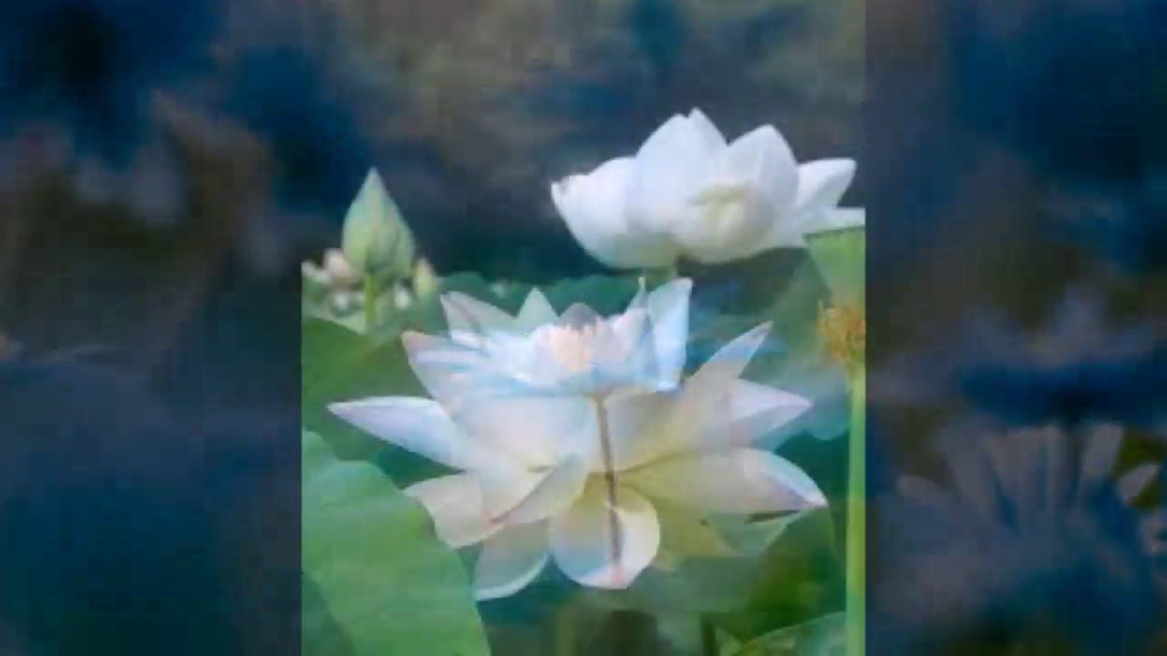 Vođena meditacija za iscjeljivanje uma, duha i tijela