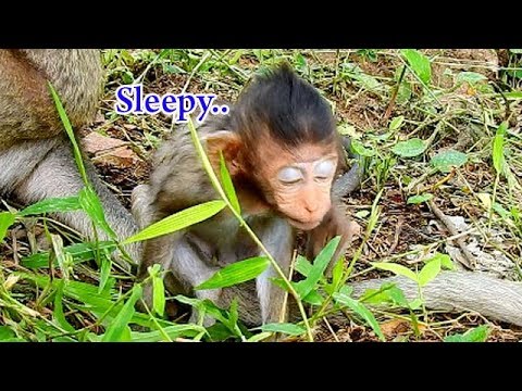 facebook games 2019 Lizza is so sleepy, Why mom not take Lizza to sleep | Lizza want to sleep by stand position
