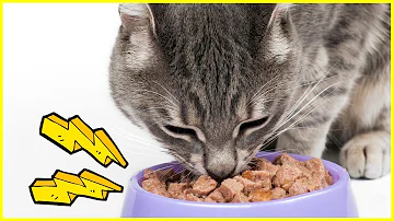 Ist der Gebrauch von Räucherstäbchen für Katzen gesundheitlich gefährlich?