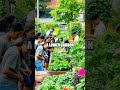 Harnessing the Power of Local Sourcing for a Greener Future