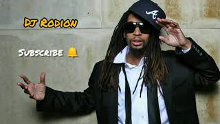 Lil Jon & The East Side Boyz - Get Low (2021 DJ Rodion remix)