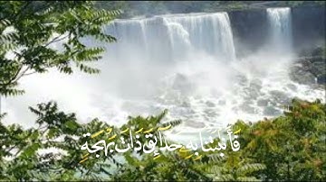 قُلِ الْحَمْدُ لِلَّهِ وَسَلَامٌ عَلَىٰ عِبَادِهِ الَّذِينَ اصْطَفَىٰ ۗ ......... (59) / سورة النمل