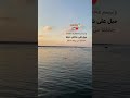 Gaza Щ ЩЉЩ Ш ШЎ ШєШІШ вќ пёЏ Foryou Music Freefire Palestine New Gaza Щ ЩЉЩ Ш ШЎ ШєШІШ вќ пёЏ Foryou Music Freefire Palestine New