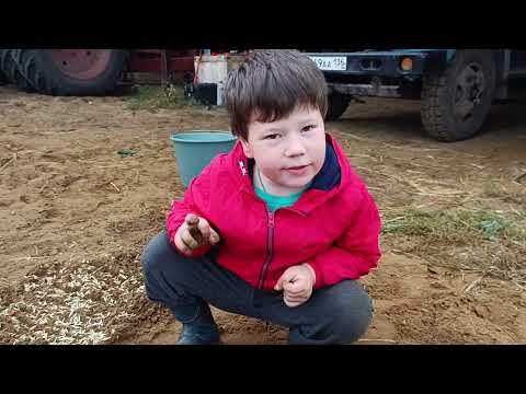 What is the future farmer playing?