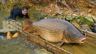Dwarf Family Uses Primitive Bamboo Trap to Catch Hundreds of Fish in the Stream - Giant Fish Harvest