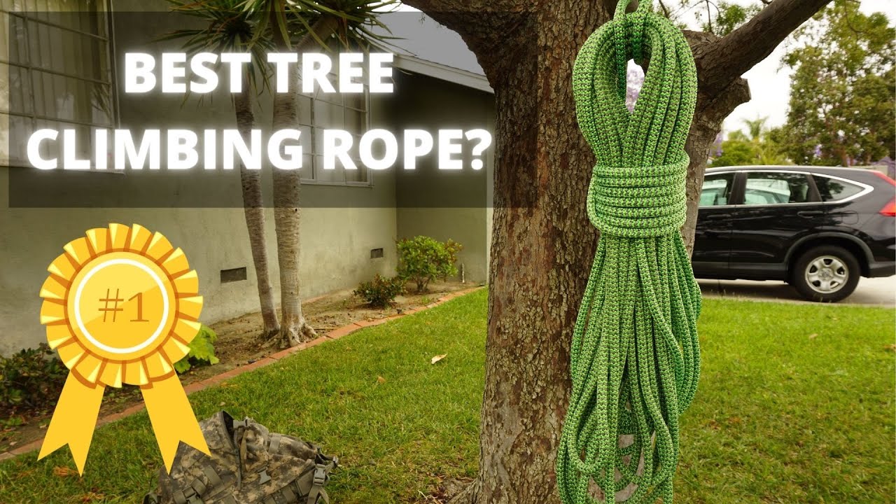 The Best Rope for Tree Climbers, Silver Ivy Tree Climbing Rope- MRS and SRS  