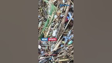 DLHK Majene Angkut Tumpukan Sampah di Kolong Jembatan Pertokoan