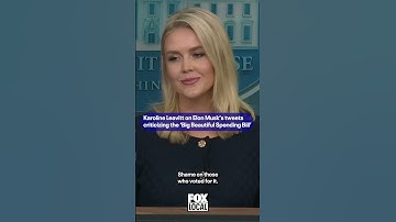 Karoline Leavitt discusses Elon Musk