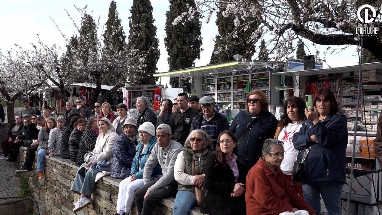 Fins de semana dedicados às Amendoeiras em Flor movimentam Foz Côa