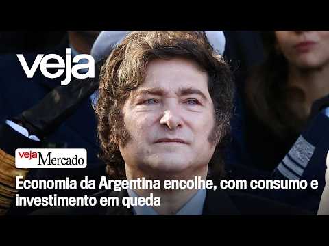 Argentina's economy shrinks as consumption and investment fall | MARKET
