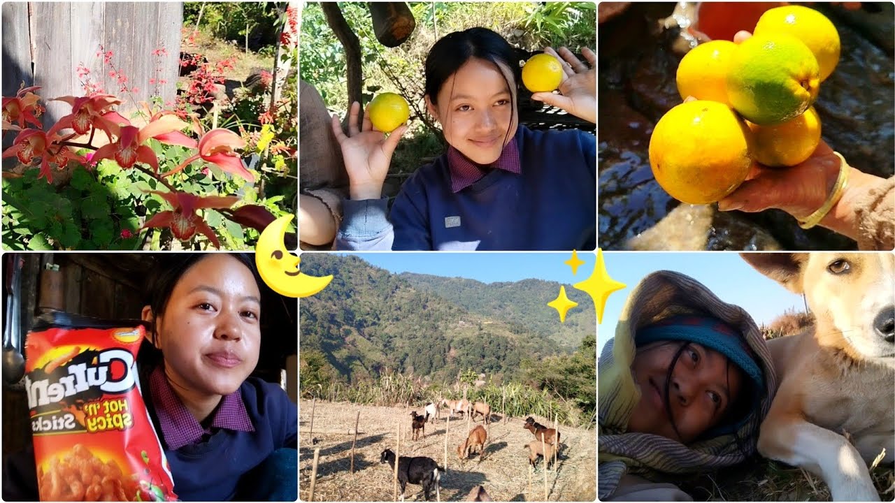 Junar Pakexa😊//Chandrika Pani Hares 😂🤧