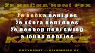 KJ1881 PILAROVÁ EVA-Že kočka není pes (Karaoke verze)