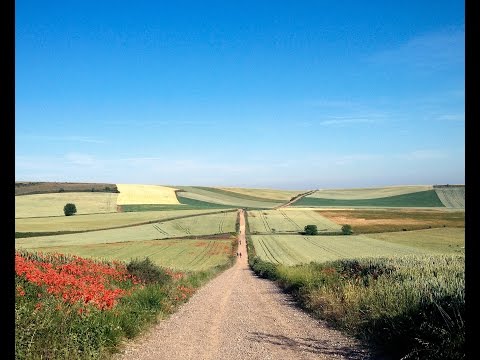 The worlds most beautiful walking paths