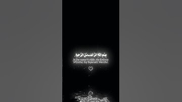 سورة الإخلاص || عبدالرحمن مسعد