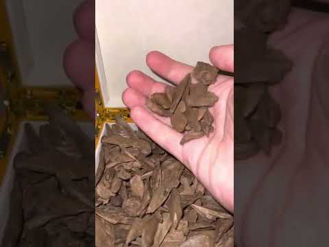 عرض ثمن كيلو دقة مروكي سوبر في صندوق فاخر