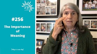 #256 The Importance of Meaning