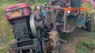 xe công nông chở lúa bị lật /The agricultural vehicle carrying rice overturned