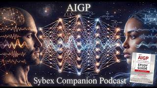 AIGP Sybex Companion Podcast Chapter 9 part 1