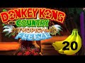 DONKEY KONG COUNTRY TROPICAL FREEZE🍌 #20: Bienenlevel mit schrecklichem Soundtrack
