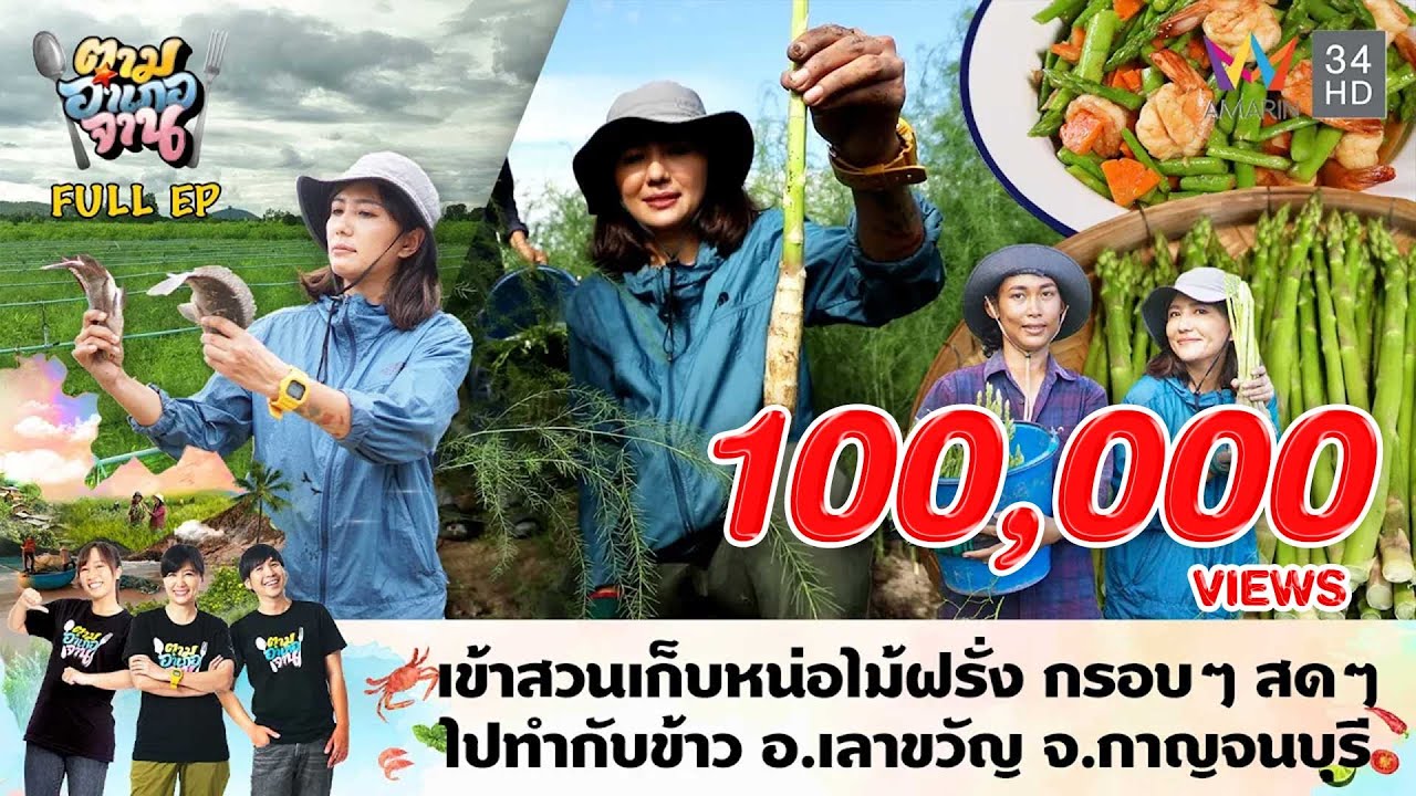 เข้าสวนเก็บหน่อไม้ฝรั่ง กรอบๆ สดๆ ไปทำกับข้าว จ.กาญจนบุรี | ตามอำเภอจาน | 17 ก.ย. 67 Full EP