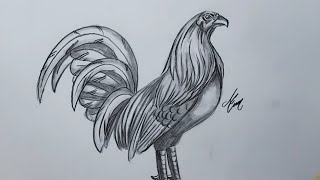 como dibujar un gallo de peleas