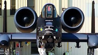 BADASS A-10 BLACKSNAKE Paint Job! | 122nd Fighter Wing A-10C Gets New Blacksnake Paint Scheme