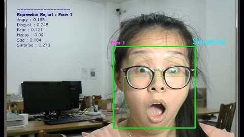 Real-time Facial Expression Recognition with CNN (2020) from Normal Camera and Videos For Subject 3: