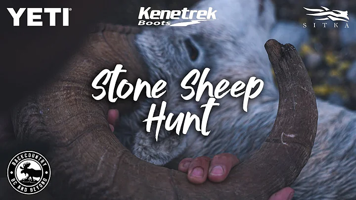 STONE SHEEP HUNT w/ Doran and Tanis