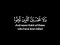 ولا تحسبن الذين قتلوا في سبيل الله أمواتا بل أحياء عند ربهم يرزقون شاشة سوداء ياسر الدوسري ولا تحسبن الذين قتلوا في سبيل الله أمواتا بل أحياء عند ربهم يرزقون شاشة سوداء ياسر الدوسري
