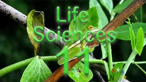 WCLN - Life Sciences 11 Course Intro