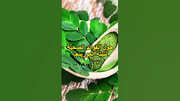 سر العشبة المدهشة المورينجا تكشف عن فوائدها السحرية 