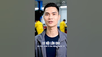 Nghe nói ngành ô tô đang CỰC HOT ở Úc. Bí mật sẽ được bật mí ngay sau đây | RIVERS Vietnam