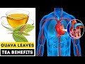 See What Happened To Your Body If You Drink Guava Leaf Tea Every Day