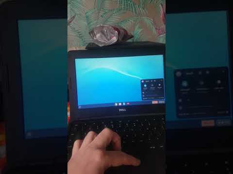 Vídeo: Com puc utilitzar un proxy en un Chromebook?