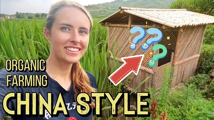 I am obsessed with this ancient Chinese farming method 🤩 原来中国的有机农业这么好玩 🤣 - DayDayNews