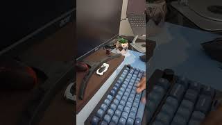 Keychron V1 max review #chill #mechanicalkeyboard #keychron #mechanicalkeyboards