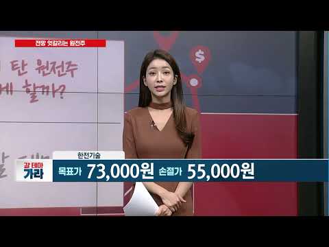 [갈 테마 가라] 주가 롤러코스터 탄 원전주… 투자 어떻게 할까? / 머니투데이방송 (증시, 증권)
