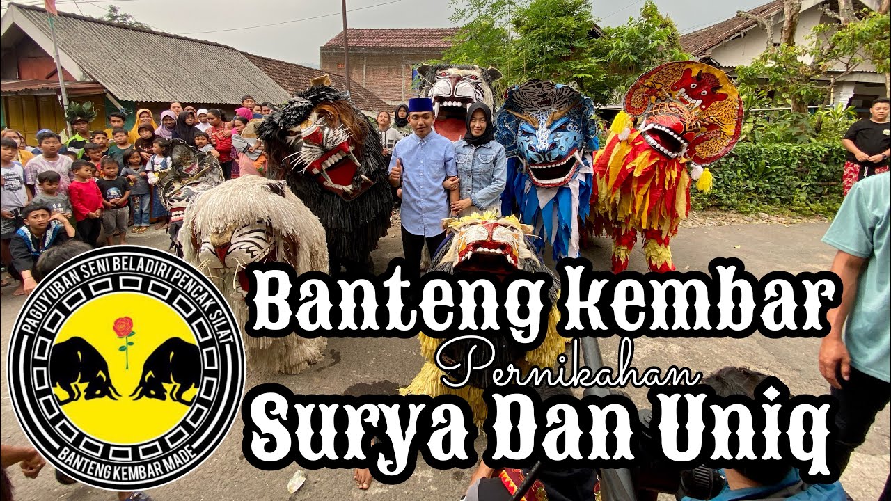 Banteng Kembar Live Made (Singoan)